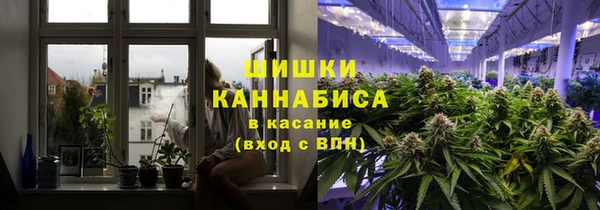 прущие крисы Няндома