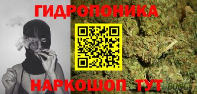 крисы Берёзовский