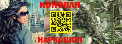 крисы Беслан