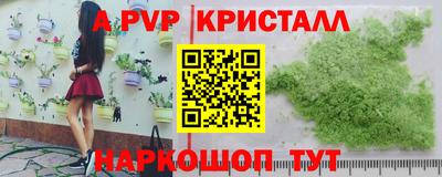крисы Беслан