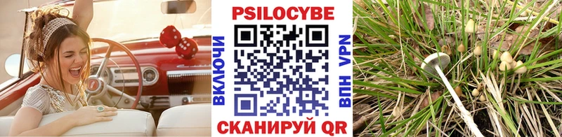 кракен как зайти  как найти наркотики  Людиново  Галлюциногенные грибы Psilocybe 